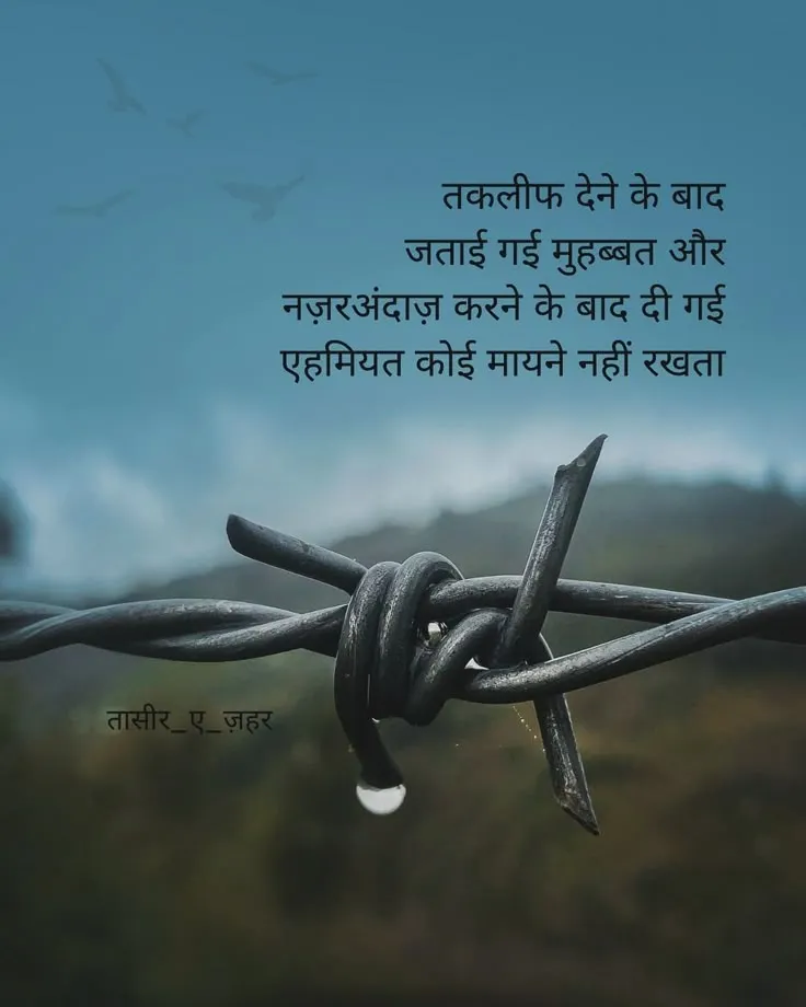 #shayari #truelinesolution #quotes #hindipoetry #hindishayri #loveshayari #sadshayri #feelings