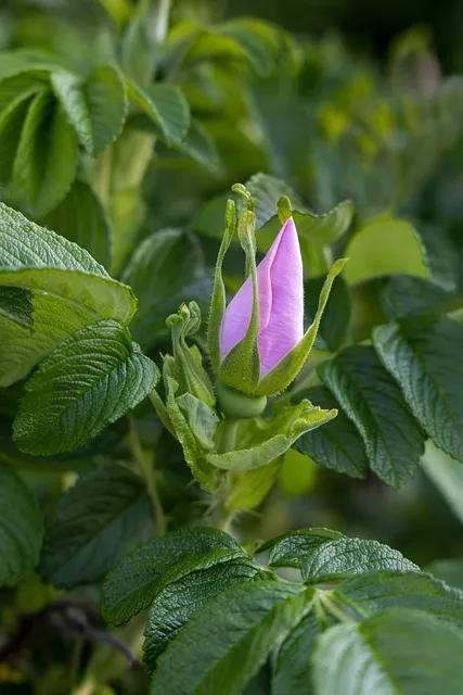 Free Wallpaper Samsung Wallpaper photo and picture