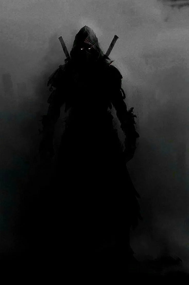 a man with two swords in his hand standing in the fog wearing a black outfit