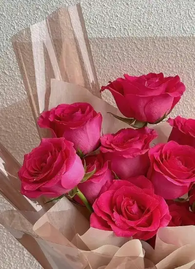 🌹𝙧𝙤𝙨𝙚🌹