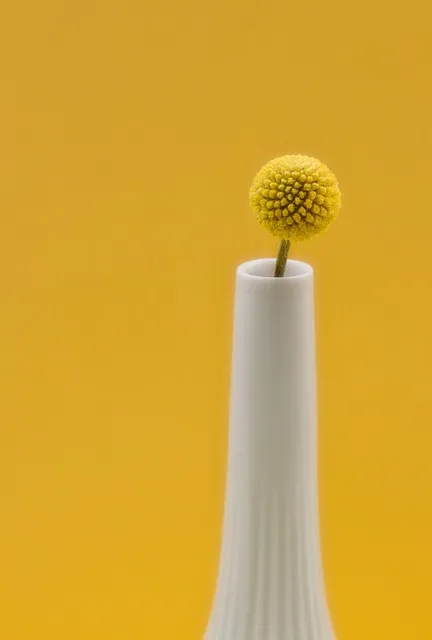 Free Vase Blüte photo and picture