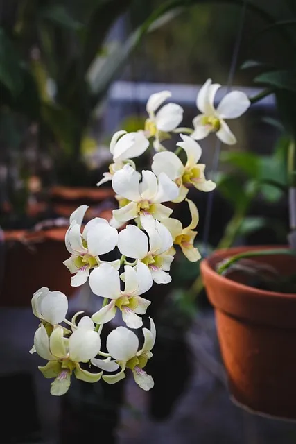 Free Natural Pure photo and picture