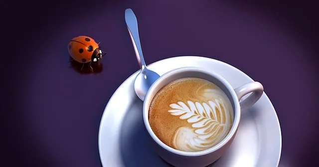 Free Beetle Coffee illustration and picture