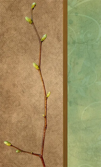 Free Twig Branch photo and picture