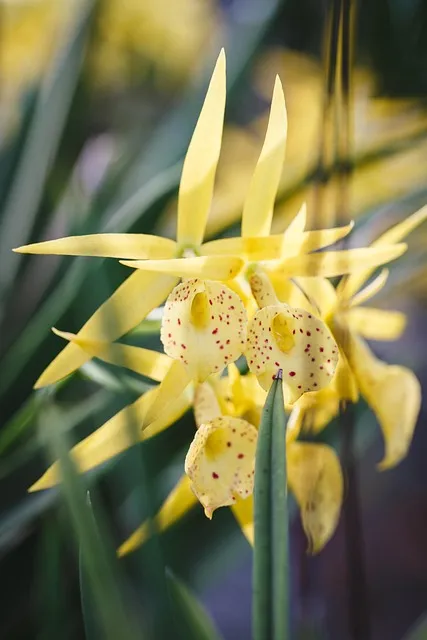 Free Natural Pure Fresh photo and picture