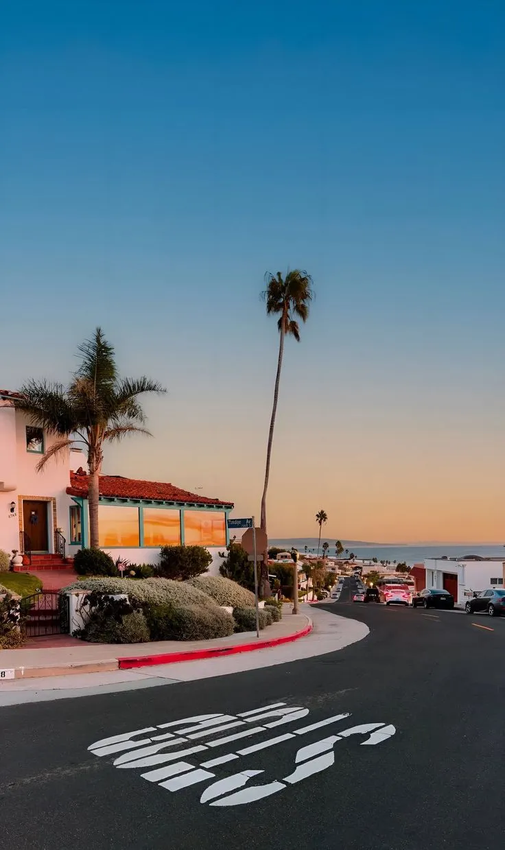 an empty street next to the ocean with palm trees
