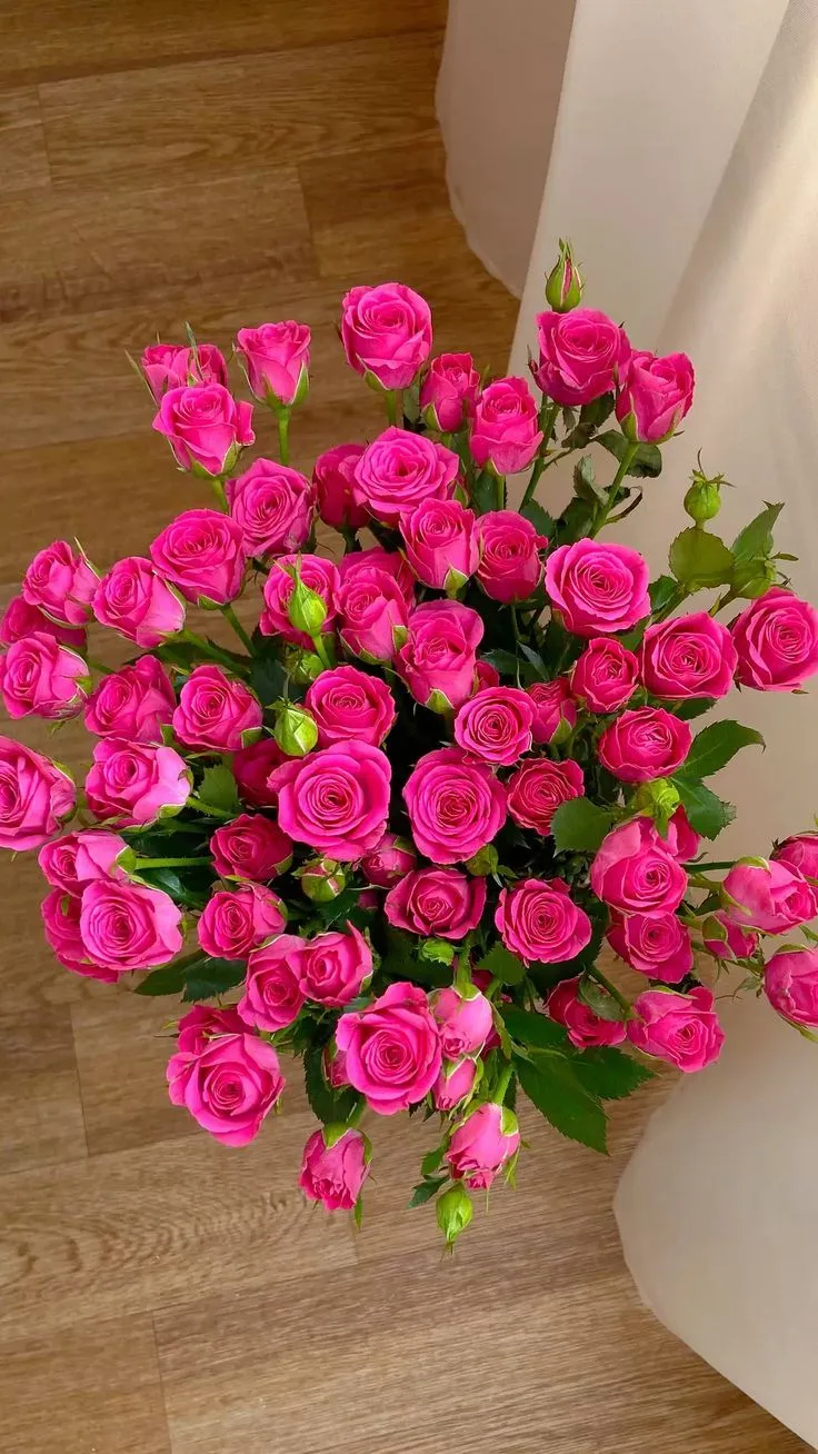 Flowers| check the link in bio|the