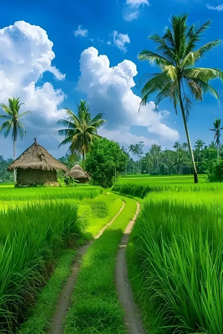 a lush green field with palm trees and a hut