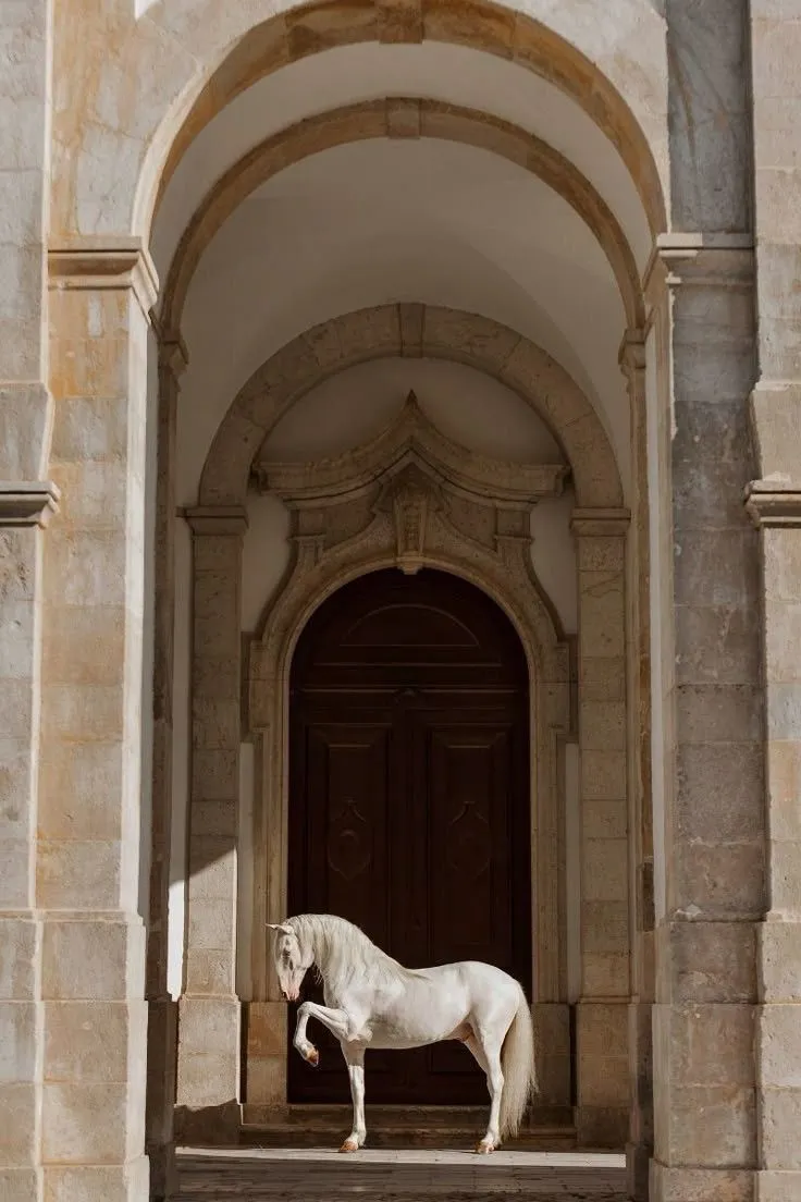 a white horse standing in front of a doorway