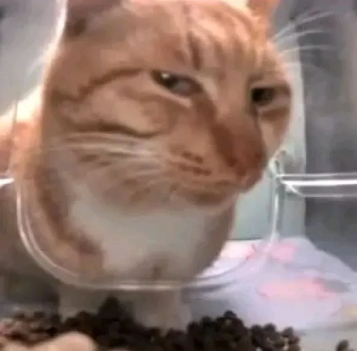 mr fresh or fresh bro icon / profile picture