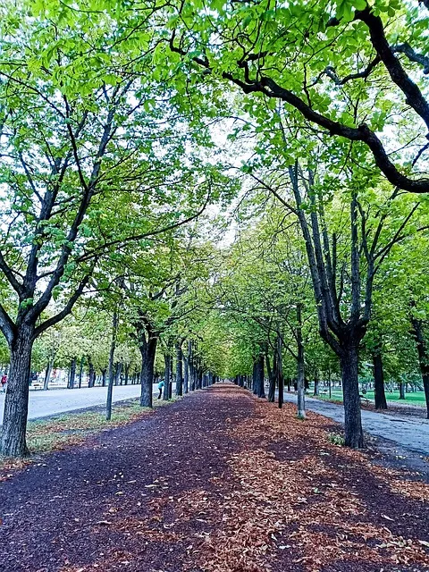 Free Defoliation Ipad Wallpaper photo and picture