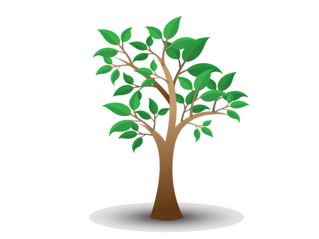 Free Tree Leaves illustration and picture
