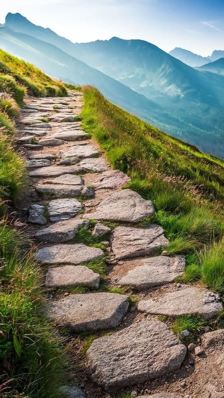 a stone path in the mountains with grass and rocks