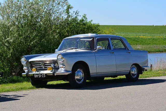 Free Peugeot 404 Antique Car photo and picture