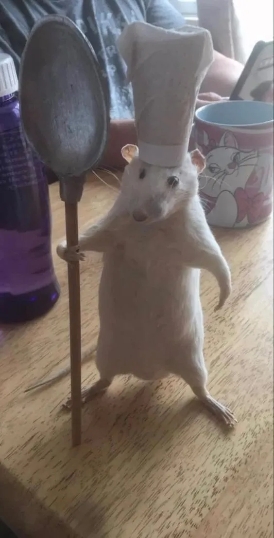 a rat with a chef's hat on its head standing next to a spoon