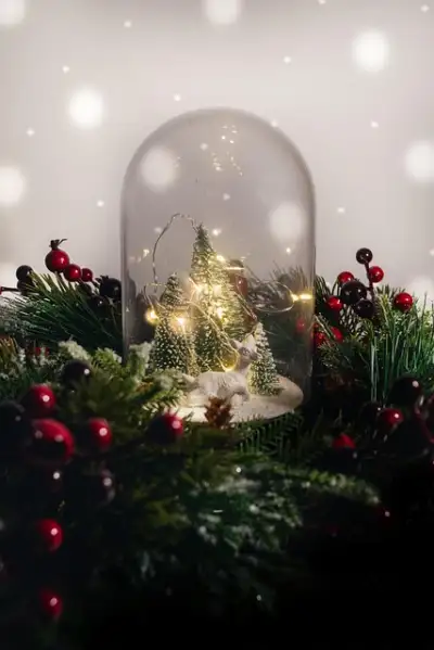 Free Snow Snow Ball photo and picture