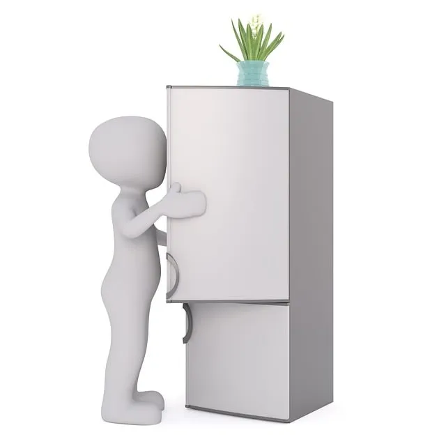 Free Refrigerator White Male illustration and picture