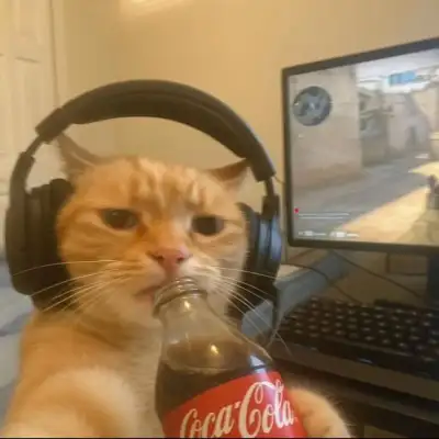 Hop on Follow @yellingatcatz for more!!  credit: unknown !! (I do not claim ownership of this, all rights are reserved and belong to their respective owners, no copyright infringement intended. Please DM me for credit/removal.)  #catmemes #yellingatcatz #