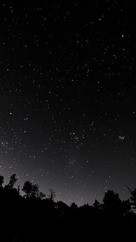 Black Aesthetic Wallpapers | Download Free Black Wallpapers