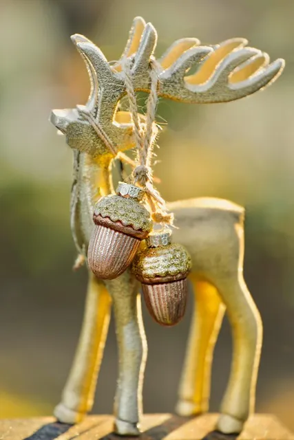 Free Moose Golden photo and picture