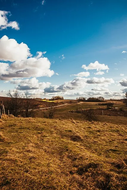 Free Field Mobile Wallpaper photo and picture