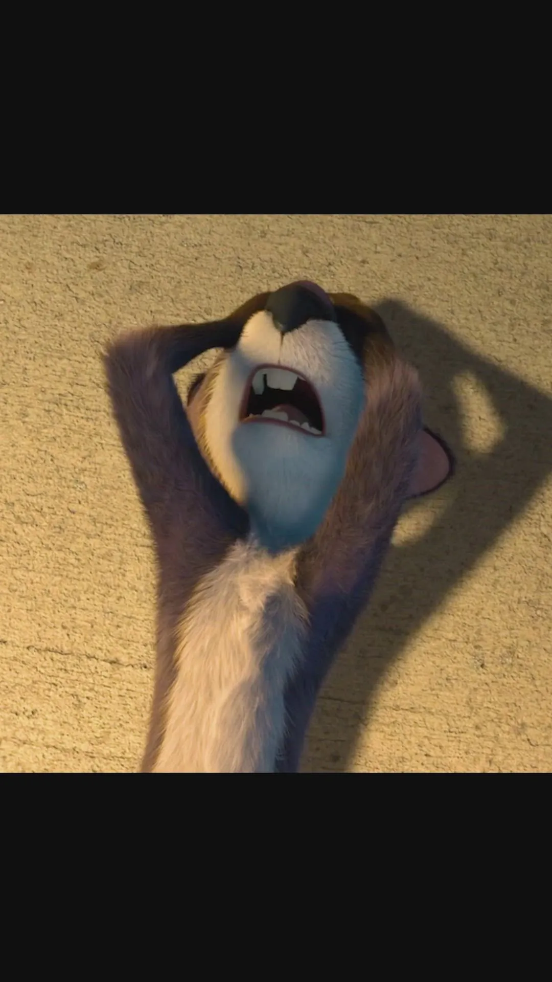 Green Screen "I'll do anything" Meme | Squirrel Meme