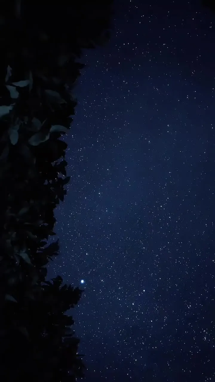 the night sky is filled with stars and trees