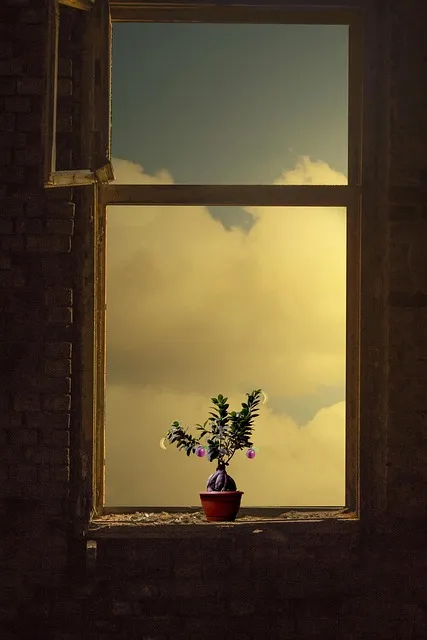 Free Abstraction Imagination photo and picture