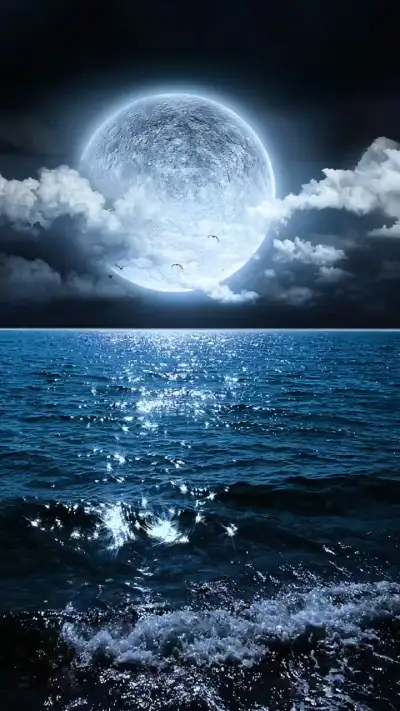Sea breeze under the moon