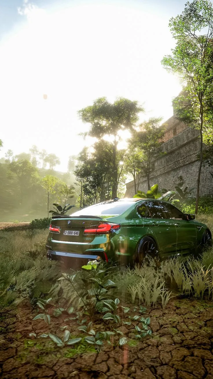a green car parked in the middle of a grassy area with trees and bushes around it