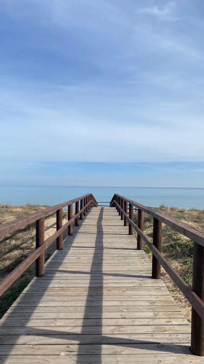 a wooden walkway leading to the beach with water in the distance and blue skies above