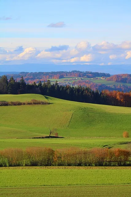 Free Grassland Fields photo and picture