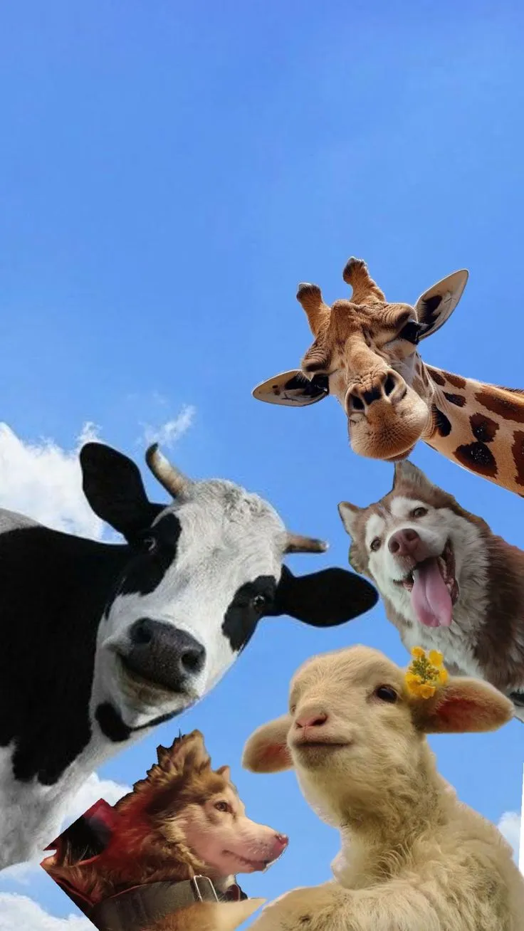 four different types of animals standing in front of a blue sky with white clouds and one giraffe sticking its tongue out