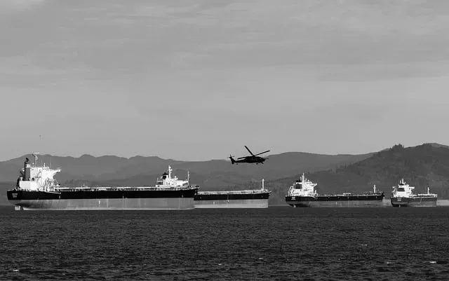 Free B W Us Army photo and picture