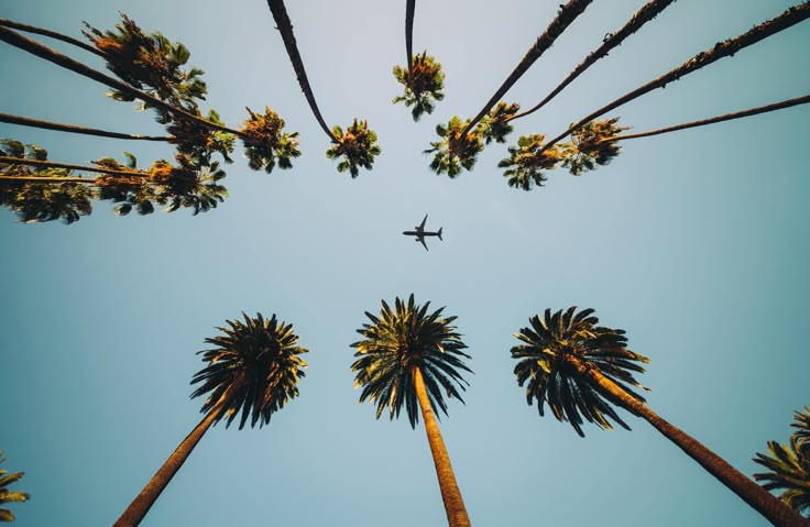 Palms Plane Crossing