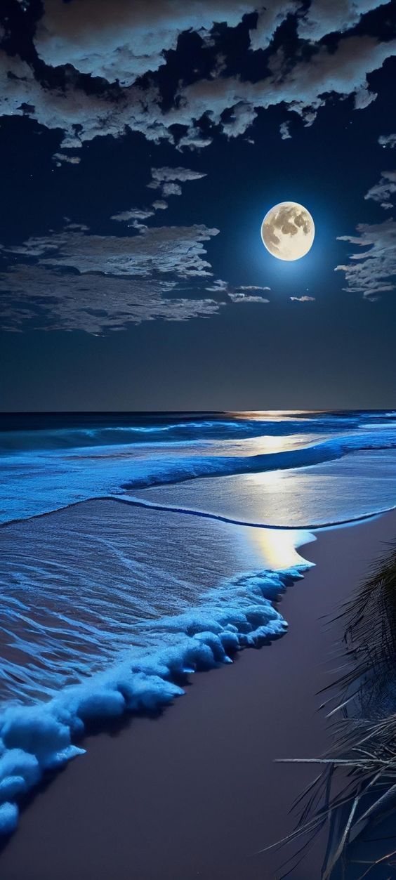 Moonlight Shore