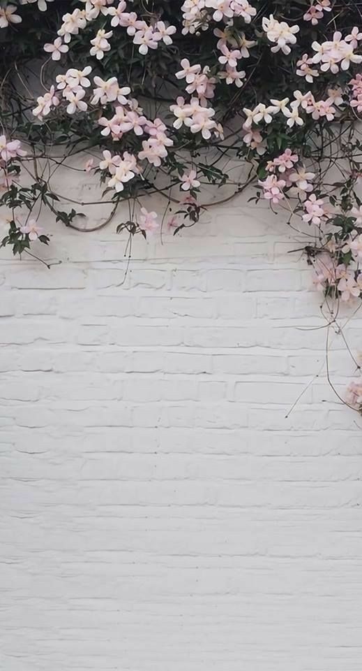 Flowers on Brick Wall